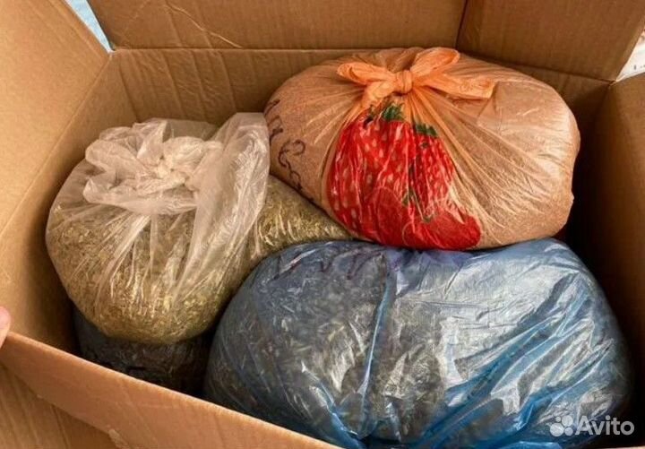 Лекарственные травы