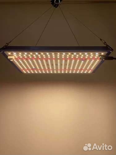 Фитолампа led проф