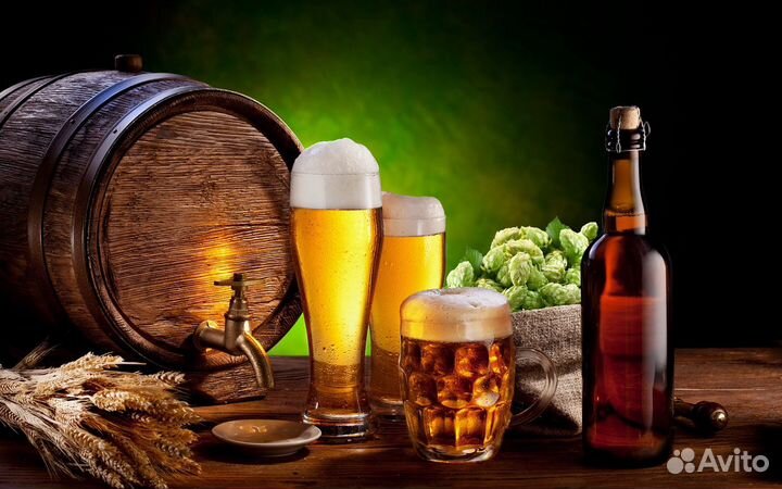Требуется продавец пива р. Бытха, р. Ареда
