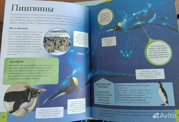 Энциклопедия про животных