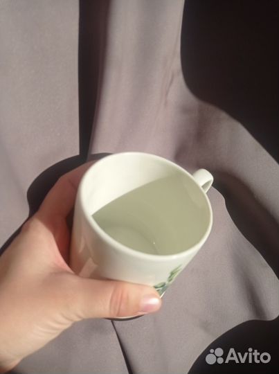 Кактус HM Home