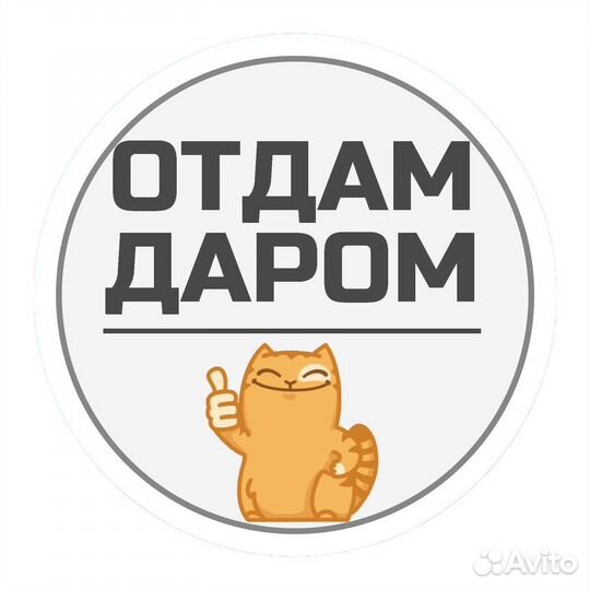 Вещи пакетом на девочку 4 года