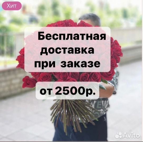 Хризантема Ромашка Доставка цветов