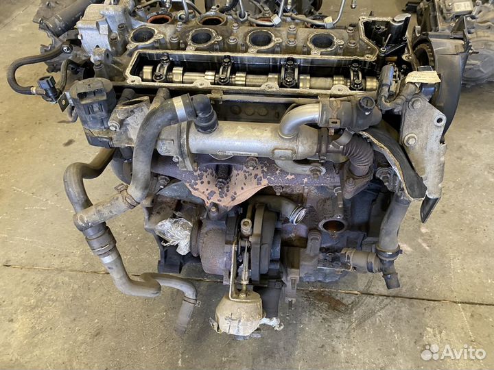 Двигатель форд мондео 4 2.0 Дизель