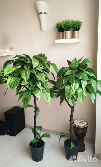 Манго искусственное дерево