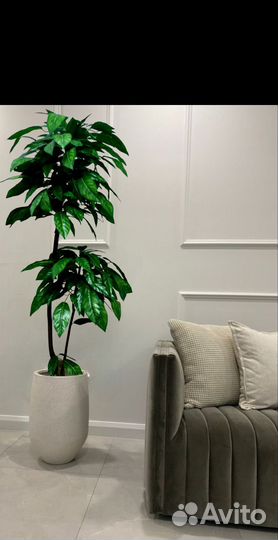 Искусственное дерево mango