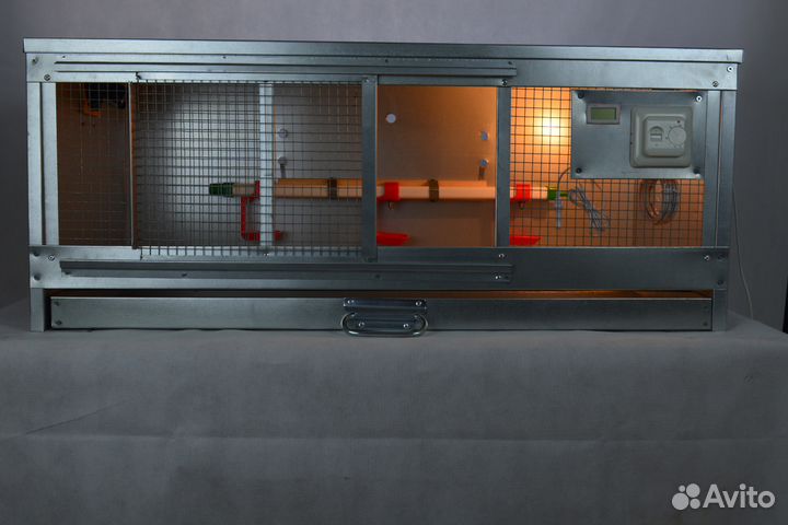 Брудер для цыплят профессионал оцинкованный