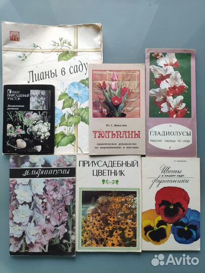 Приусадебный цветник,двулетники, гладиолусы