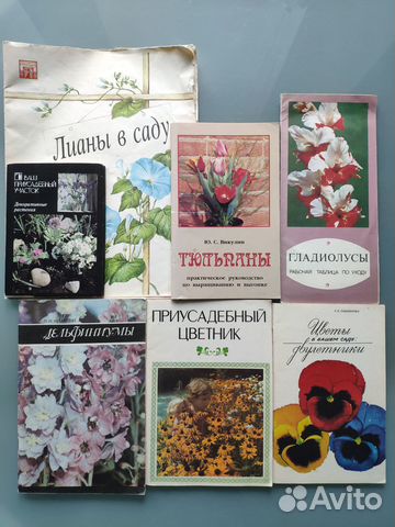 Приусадебный цветник,двулетники, гладиолусы