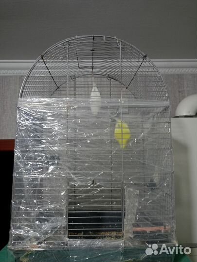 Пара попугаев с клеткой