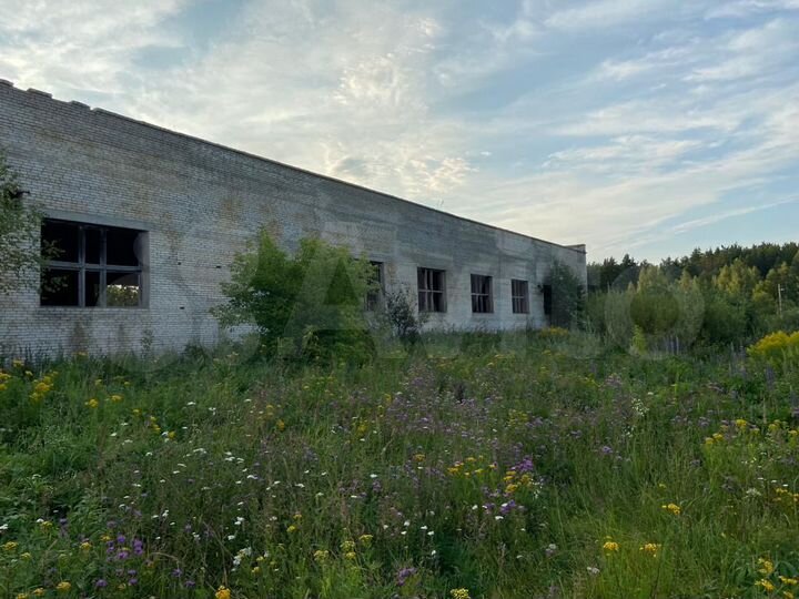 Участок 100 сот. (промназначения)