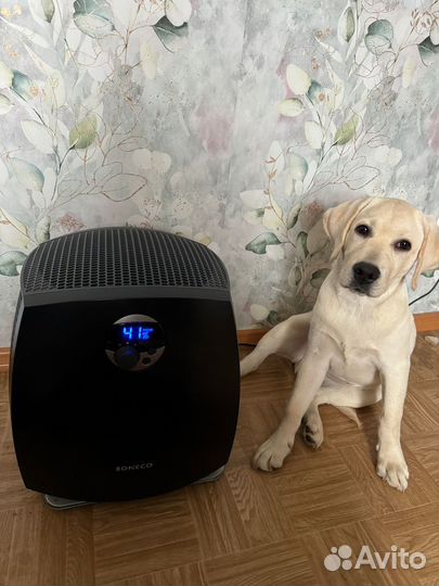 Мойка воздуха boneco W2055D