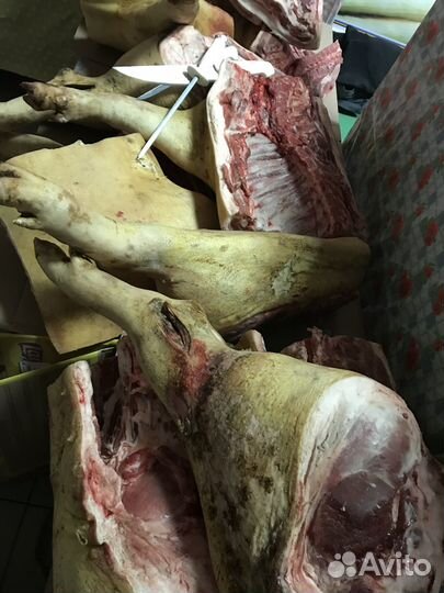 Мясо свинины