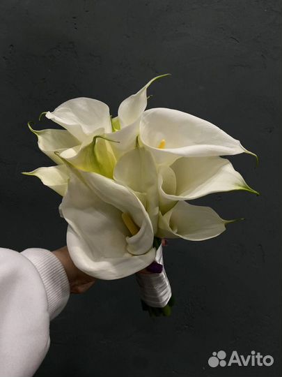 Флористика