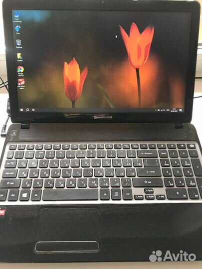 Ноутбук Packard bell EasyNote TV11