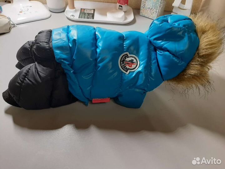 Одежда для животных