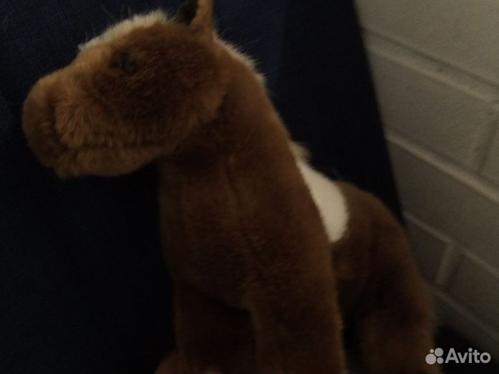 Шетландский пони