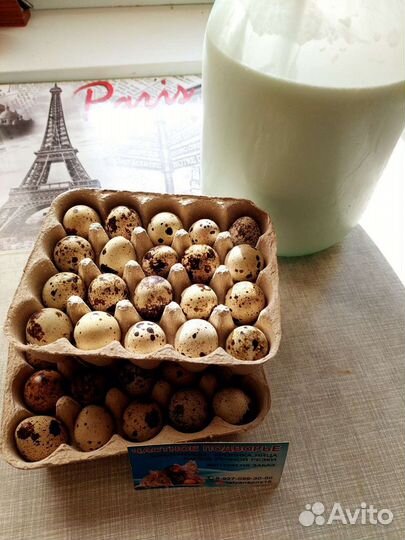 Яйца перепелиные домашние(мясо)