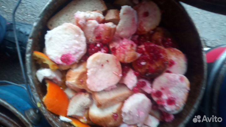 Корма для животных