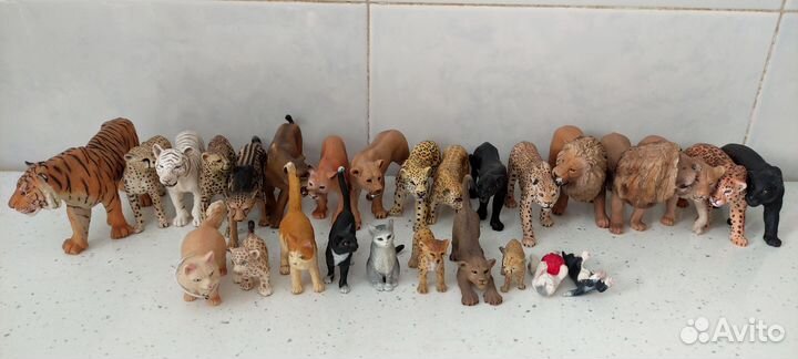 Дикие и домашние кошки разных фирм