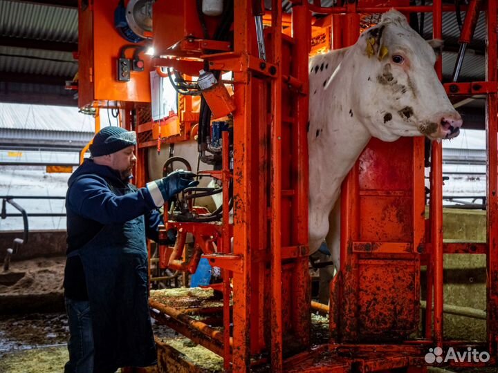 Станок для обрезки копыт