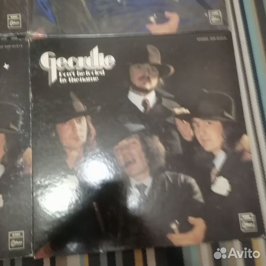 Geordie (Япония