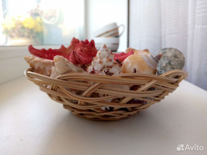 Ракушки декоративные в корзине