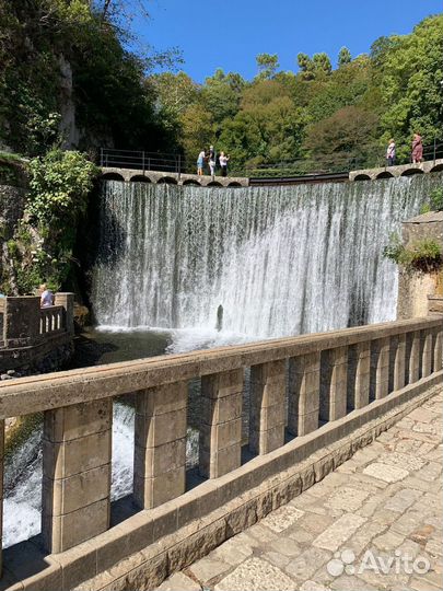 Тур в Абхазию из Адлера / Золотое Кольцо / Рица