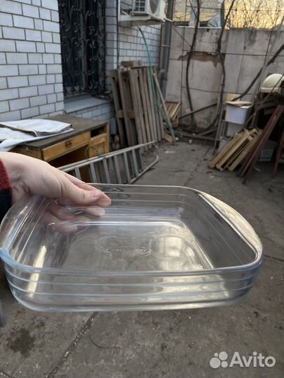 Тара Стеклянная