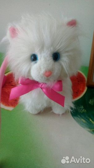 Интерактивный котик