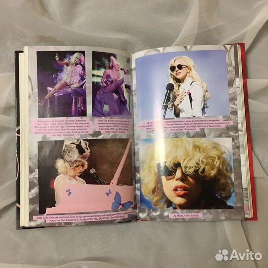 Книга Lady Gaga В погоне за славой, Пол Лестер