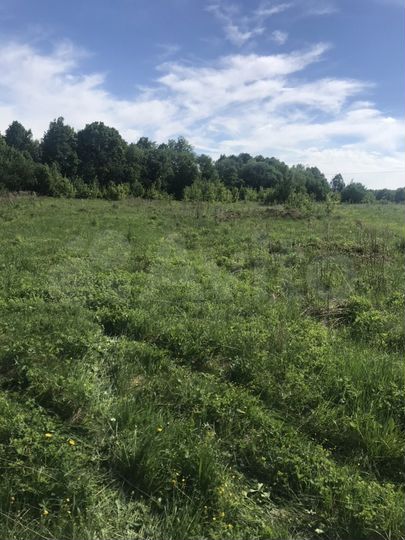 Участок 4 га (ИЖС)