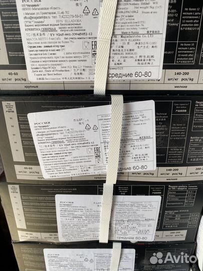 Креветка северная