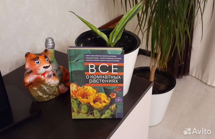 Книга Всё о комнатных растениях