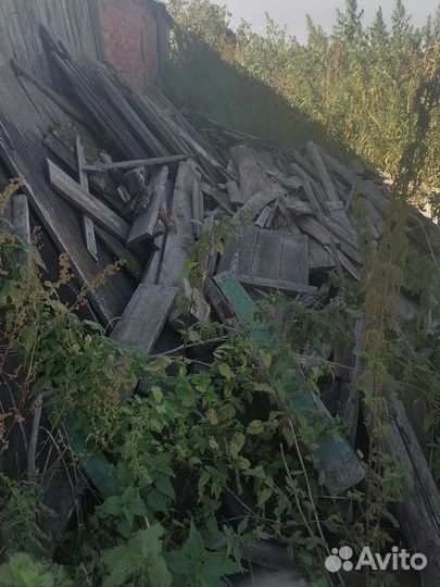 Дрова бесплатно