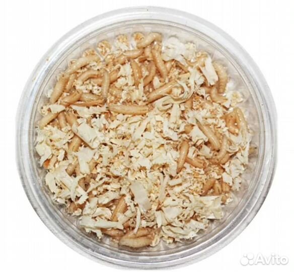 Опарыш белый Опарыш красный