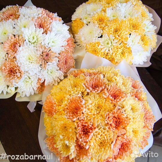 Хризантема кустовая белая и цветная