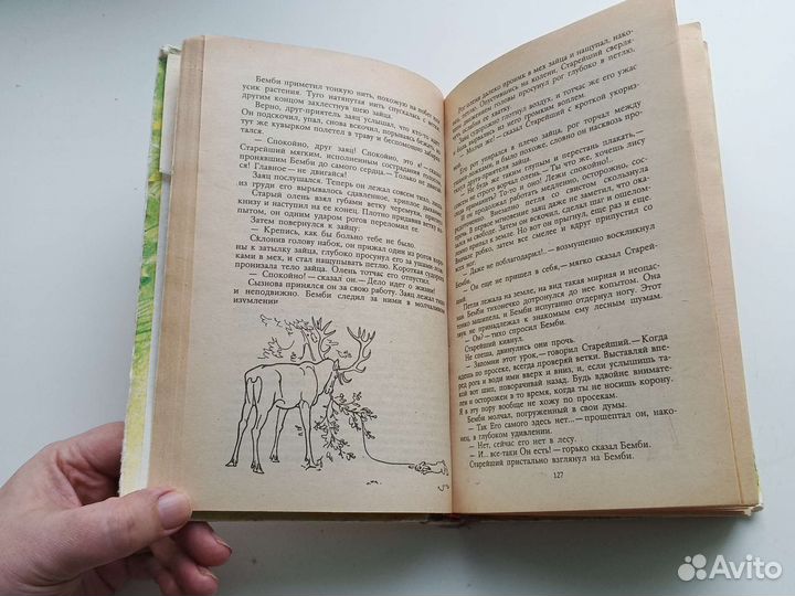 Книга Бемби