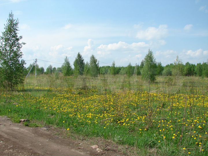 Участок 15 сот. (ИЖС)