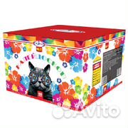 Салют 100 залпов с доставкой. 