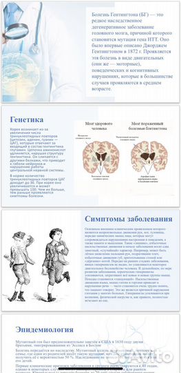 Репетиторство, помощь в решении домашних заданий