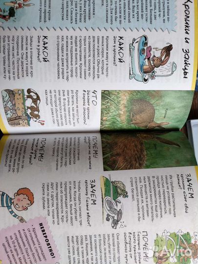 Энциклопедия для детей