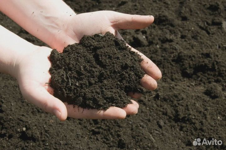 Грунт котлованный, плодородный, глина Доставка