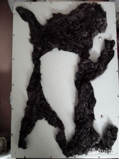 Каракульча обрезки