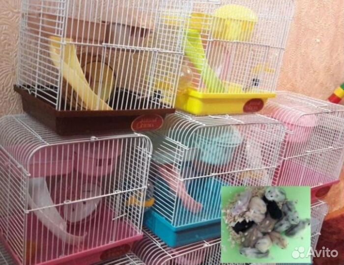 Продам клетки/комплектующие для клеток