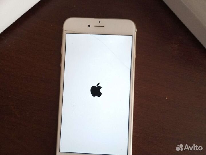 iPhone 6 plus