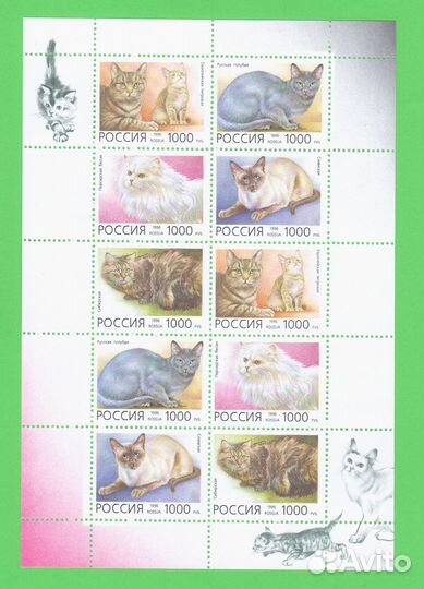Россия Домашние кошки Малый лист Мл ** MNH 1996