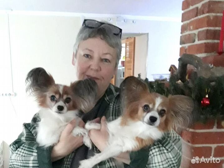 Репетитор по математике\ Репетитор по информатике