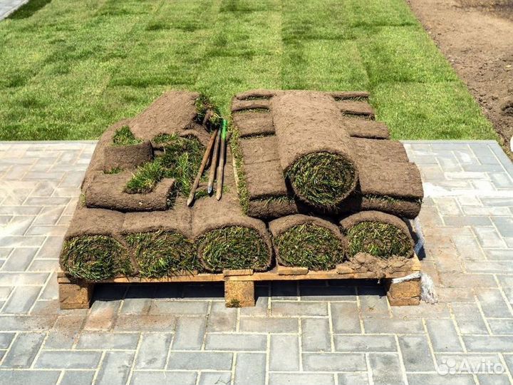 Укладка рулонного газона стандарт