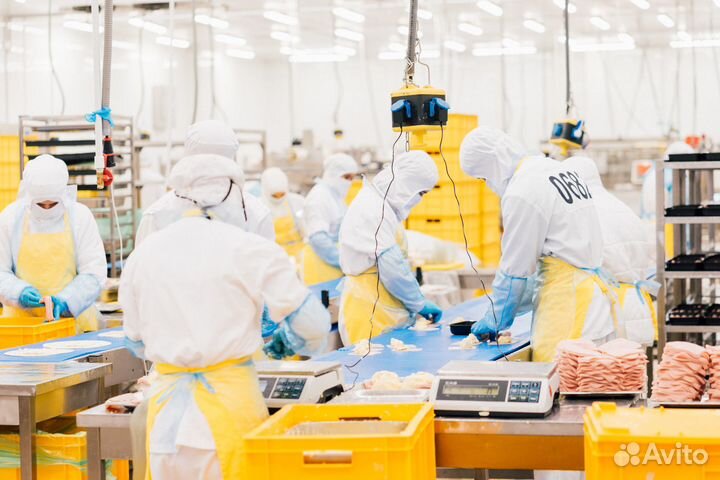 Работник холодного цеха на пищевом производстве